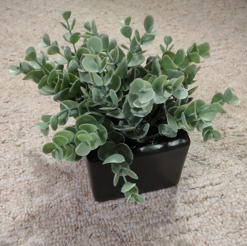 Faux Eucalyptus Pot